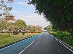 -大湾区中央湿地公园