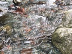 -西岭雪山大飞水景区