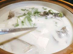 千岛湖有机鱼头-千岛湖小鱼儿·淳安匠心农家菜