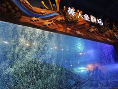 -太奥幻太奇海洋馆