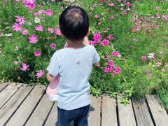 -前小桔亲子创意农场·草莓采摘·露营烧烤