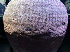 -温州博物馆