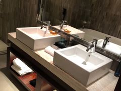 -常州环球恐龙城维景国际大酒店