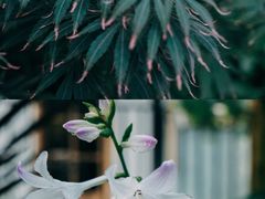 -往来·竹里.宝宝宴.生日宴.团建.宴席(花乡农居店)