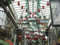 -罗汉果龙眼冰糖燉冬瓜