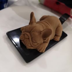 -MINI MARS KIDS CLUB亲子家庭中心(长宁天山店)
