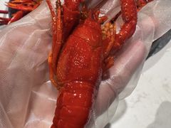-海岛八号龙虾烧烤田鸡(蓝天路总店)
