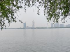-长广溪湿地公园
