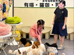 -有喵·猫咖·狗咖·40+猫狗有小奶狗(岗厦店)