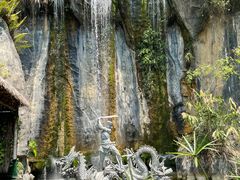 -西双版纳原始森林公园