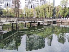 -温江公园