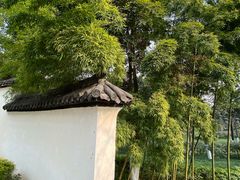 -大渡口区义渡公园