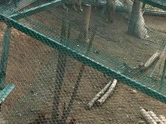 -泉州海丝野生动物世界