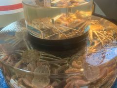 -蟹道乐(道顿堀本店)