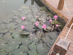 -那考河湿地公园