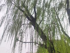 -迎泽公园