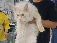 -达爱动物医院·犬猫分区·CT·复杂眼科(远洋山水分院)