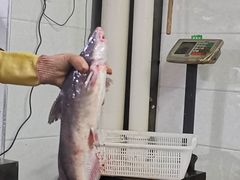 -陈大锅·岳阳鱼馆·地道岳阳菜(美食街店)