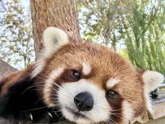 -水上乐园·欢乐世界