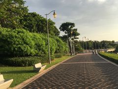 -深圳湾公园(南山区)