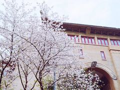 -武汉大学-樱园