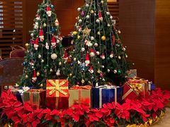 -成都世纪城假日酒店-西楼