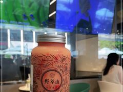 -野萃山·潮汕厚果汁(十亩地店)