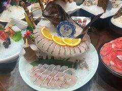 老虎斑-东海怡品海鲜豆捞(舟宿夜江店)
