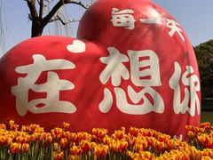 -上海鲜花港