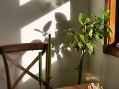 -AHAVA·Fang Baking Studio