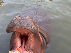 -灵玲国际马戏城