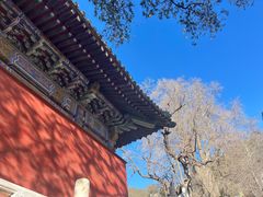 -潭柘寺景区