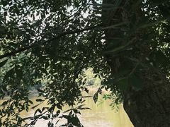 -青龙山国家森林公园
