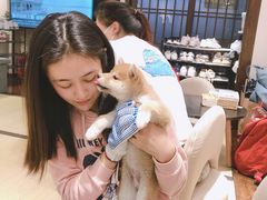 -逗柴咖啡屋·狗咖猫咖宠物桌游