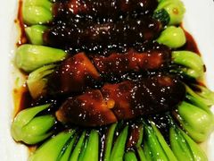 素海参扒菜心-功德林(南京西路店)