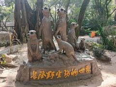 -广州长隆野生动物世界