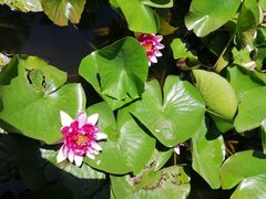 -万源龙顺度假庄园生态观光园