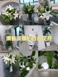 -HEYAN荷妍专业脱毛连锁机构