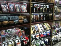 -上海科技馆(地铁站)