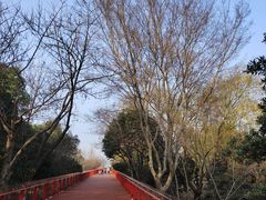 -青枫公园