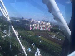 -百万葵园