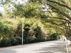 -八卦田遗址公园
