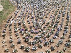 -秦皇岛野生动物园