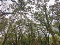 -普陀山风景名胜区-法雨禅寺