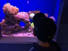 -石家庄海洋公园
