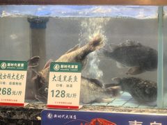 -新时代大酒店(仰口路店)