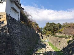 -名古屋城