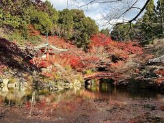 -醍醐寺