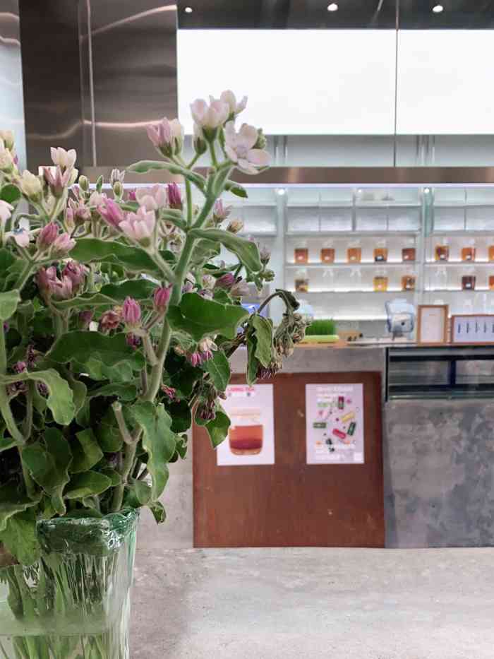 cyber plants-"精心打扮,装扮各异的小姐姐,围绕着整个店.