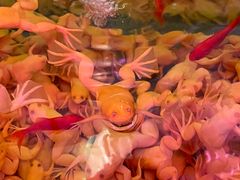 -三旗百汇商品城